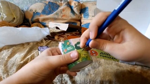 Обзор додо пиццы Миксик + растение