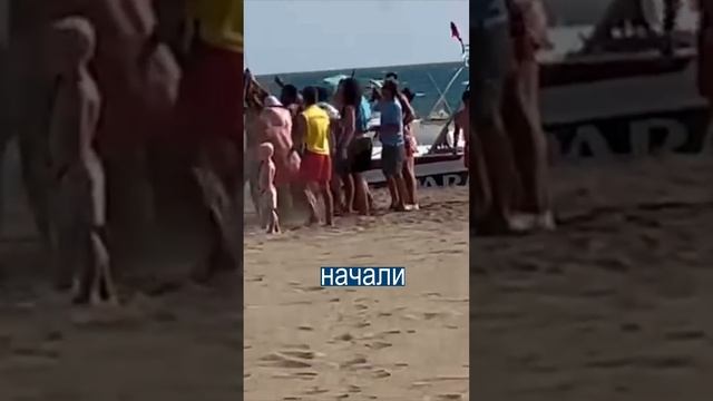 Туристы спасли маму с детьми на оторвавшемся парашюте смотреть онлайн