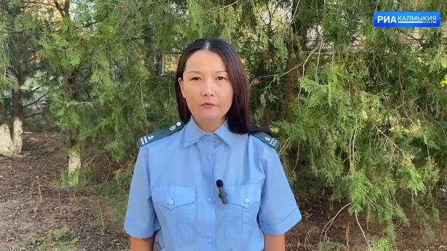 В республике выявлено поступление в детский сад котлет, выработанных из нелогичного объема смотреть онлайн