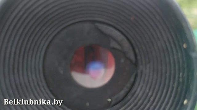 Сорт клубники ??Ада?? From Hell:) Belklubnika.by смотреть онлайн