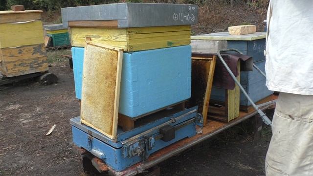 Рамки дадан, размер одинаковый, вес разный. смотреть онлайн