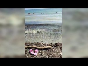 УЖАС НА ПЛЯЖАХ В АРХИПО-ОСИПОВКЕ