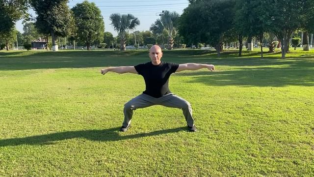 What Happens To Your Body When You Do The Horse Stance Every Day-Shocking Results смотреть онлайн