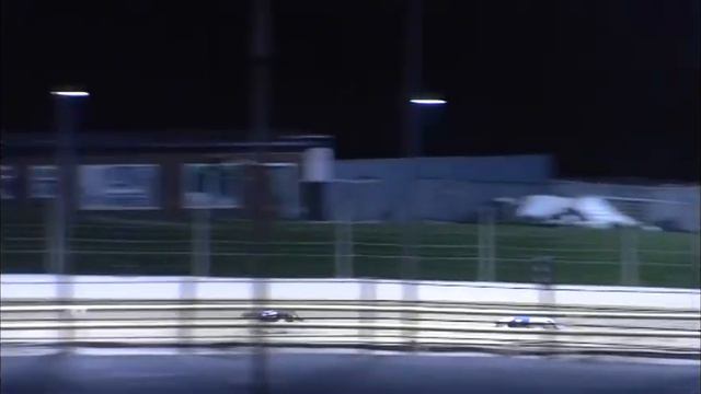 Greyhound 2022- 19.11.2022 Trial 4 смотреть онлайн