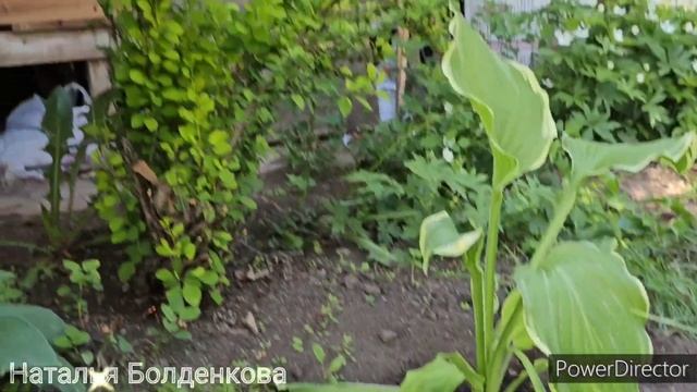 Лилька хромает》Гусь с яблоками(》Балую себя смотреть онлайн