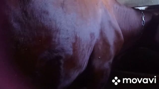 Креативное Рукоделие