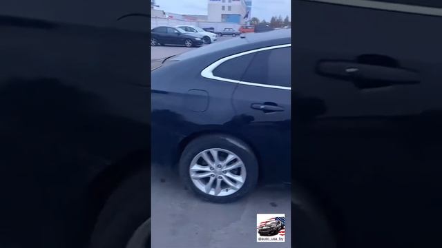 Скоростное безумие