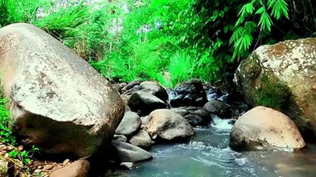 Gentle river sounds for deep sleep, Forest Insect Sounds, Soothing river sounds, 10 Hour River Soun смотреть онлайн