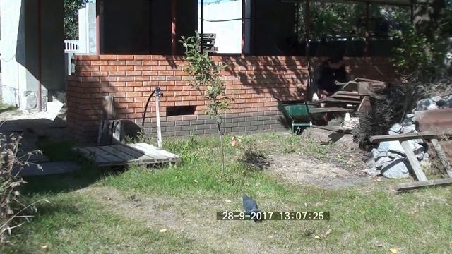 Несущая внутренняя стена своими руками смотреть онлайн