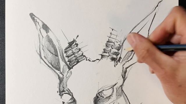 Animal Drawing of a "springbok", Pencil Sketch смотреть онлайн