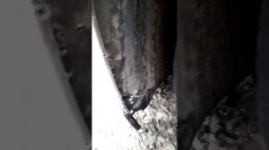 Opel Vectra C доступ к моторчику омывателя лобового стекла