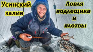 ЛОВЛЯ ПОДЛЕЩИКА И ПЛОТВЫ ЗИМОЙ/РЫБАЛКА НА МОРМЫШКУ И НА ДОНКУ/Р.УСА-УСИНСКИЙ ЗАЛИВ/САМАРСКАЯ ОБЛАСТЬ