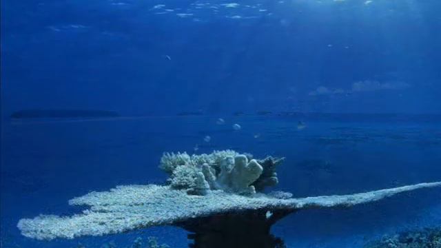 cruise island adventure destinations смотреть онлайн