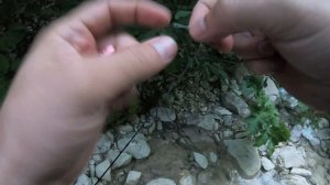 Как поймать форель новичку на силикон.  форелевая рыбалка