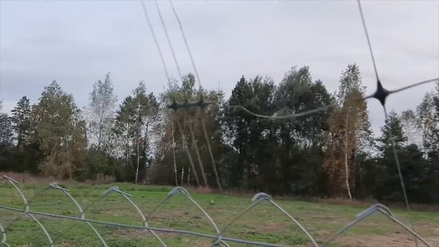 Защита домашней птицы от пернатых хищников смотреть онлайн