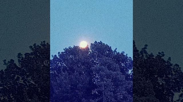 Chandra Moon Mantra Meditation (Monday) 108 - Times смотреть онлайн