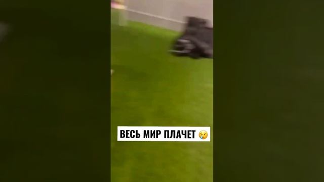 БРАЗИЛИЯ ГОТОВИТСЯ К СМЕРТИ ПЕЛЕ … смотреть онлайн