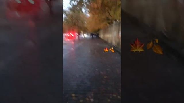 В городе тихая осень ? родная Беларусь ?красивая страна ?? смотреть онлайн