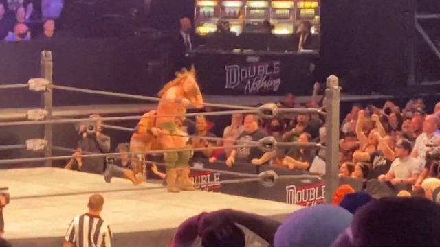 Jungle Boy wins Casino Battle Royal смотреть онлайн