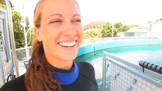 Miami Seaquarium - Unravel Travel TV смотреть онлайн