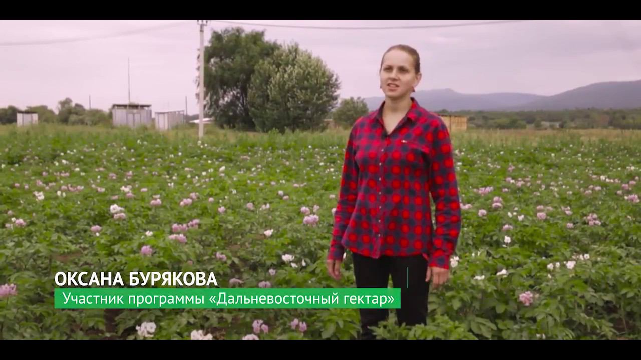 Дальневосточный гектар: история успеха. Крестьянско-фермерское хозяйство Оксаны Буряковой смотреть онлайн