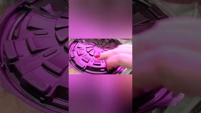 7 марта приехали с дачи,Что с моей рассадой? Фуу всё отлично 🤗