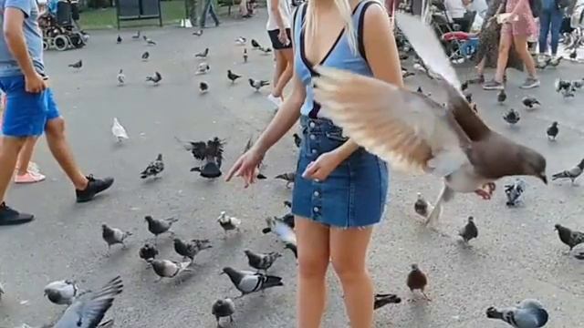 Площадь Каталонии смотреть онлайн