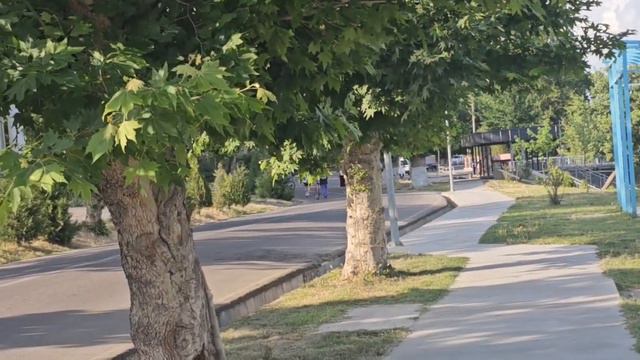 Tashkent Uzbekistan смотреть онлайн