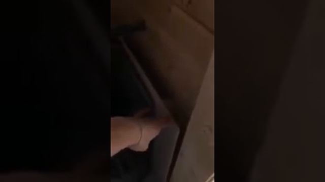 Квадро Эллипс 5х2 с козырьком смотреть онлайн