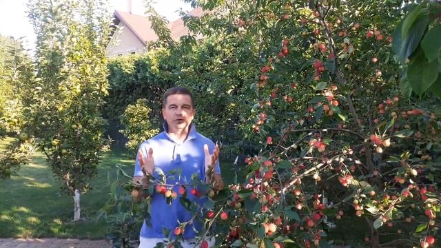 /// Бодрость духа ... смотреть онлайн