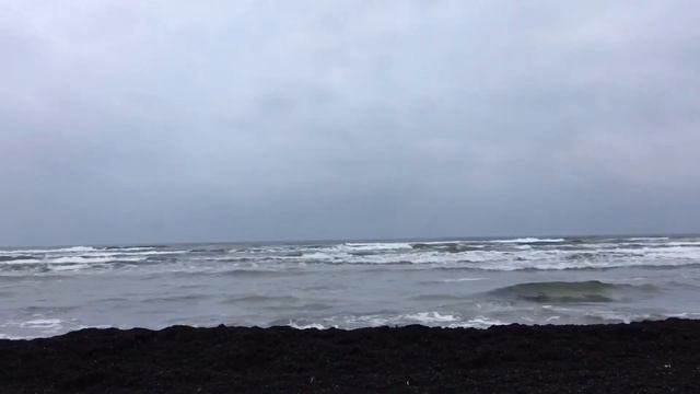 Латвия🇱🇻 Лиепая 26.10. Легли туманы, наступает быстро тьма. Осенняя пора - пора печали 🍂 смотреть онлайн