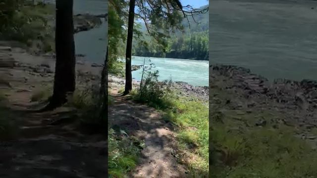 Продаю землю берег Катуни Горный Алтай +79039495791 смотреть онлайн