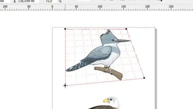 Уроки Корел. Corel Draw X5 для новичков. Перспектива объекта (7.5) Хорошее качество видео уроки для смотреть онлайн