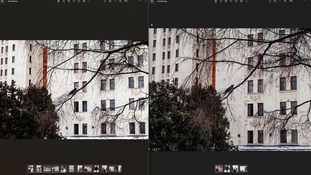 Micro 4/3 против Полного кадра. XIAOYI 42.5mm 1.8 смотреть онлайн
