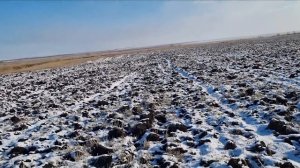 ОХОТА НА ЗАЙЦА С СОБАКОЙ. ТОЗ-34 28 калибр