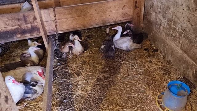 15 января 2022 г.