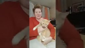 Чистим зубы гелем кошке и собаке