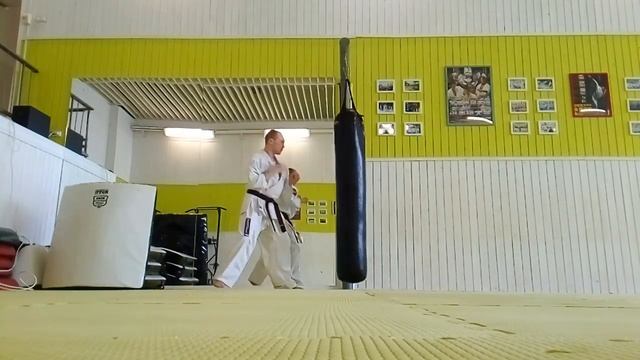 Шинкиокушин отработка комбинаций смотреть онлайн