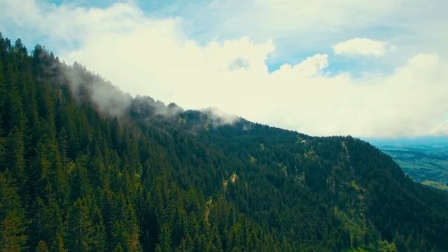 Change de point de vue - Pensée positive du jour #058 смотреть онлайн