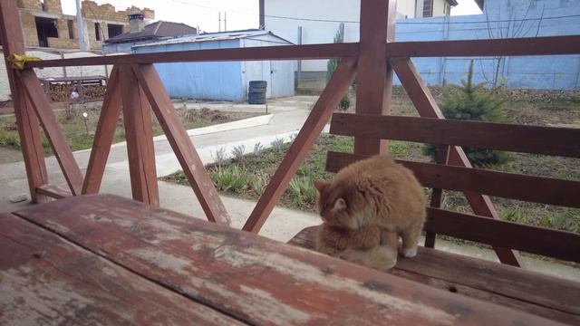 Кто платит за риэлторскую услугу продавец или покупатель. Звонок риэлтора. Комиссия