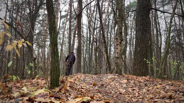 Самый доступный байк! от Pride!! катит ДОСТОЙНО.!!!! смотреть онлайн