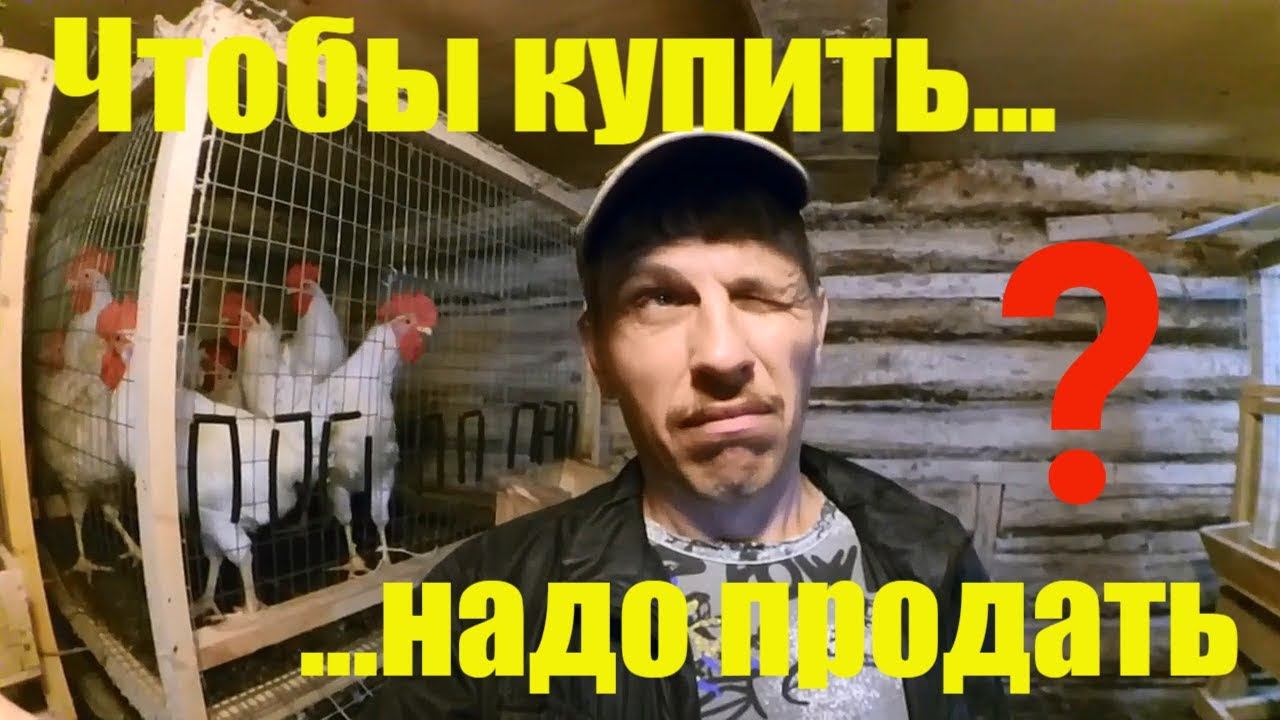 Деревенский Горожанин - Жизнь в деревне