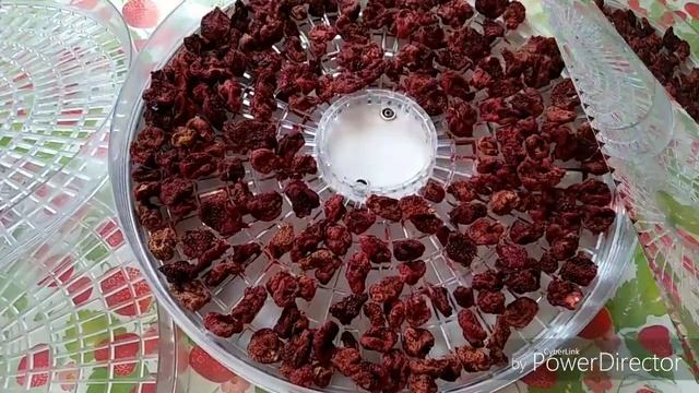 Клубника на зиму. Как высушить клубнику. Ежик за клубникой? смотреть онлайн