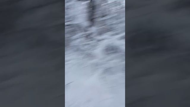 Поход за зимними грибами закончился. смотреть онлайн