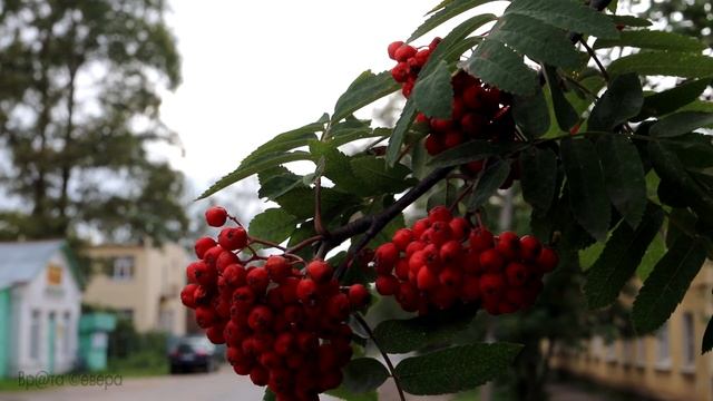 Николай Котрин. Милый мой городок. #Грязовец, смотреть онлайн