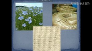 Ознакомление с окружающим миром. Как появилась одежда