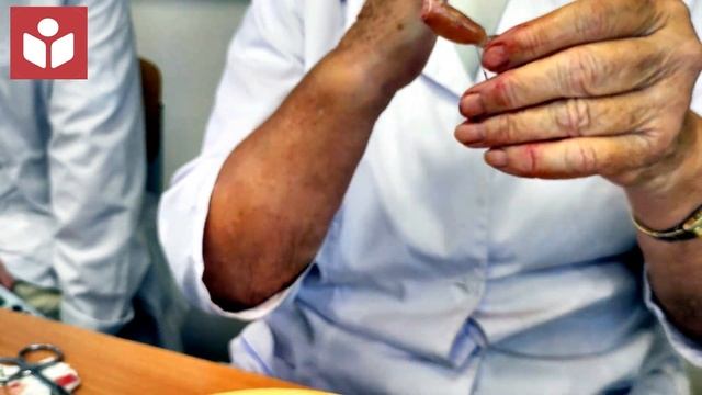 Опыты Л. Гальвани, Маттеуччи, И.М. Сеченова на лягушках смотреть онлайн