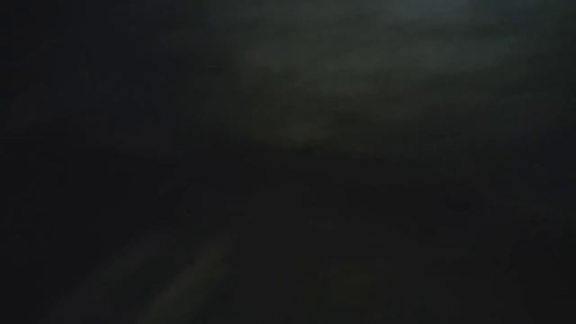 ОХОТА У КРОЛЬЧИХ // КОГДА ?? И КАК ОПРЕДЕЛИТЬ?? ПОКРЫЛ ЗВЕЗДОЧКУ!! смотреть онлайн