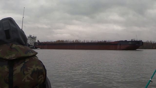 У ПЛОТВЫ НАЧАЛСЯ ЖОР | РЫБАЛКА НА РЕКЕ ШЕКСНА смотреть онлайн