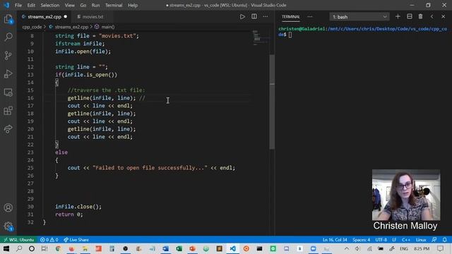 File I/O: reading lines from a file смотреть онлайн